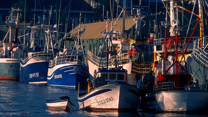 Más cerca - CEPESCA: "El sector está harto de las políticas de la UE" - Escuchar ahora