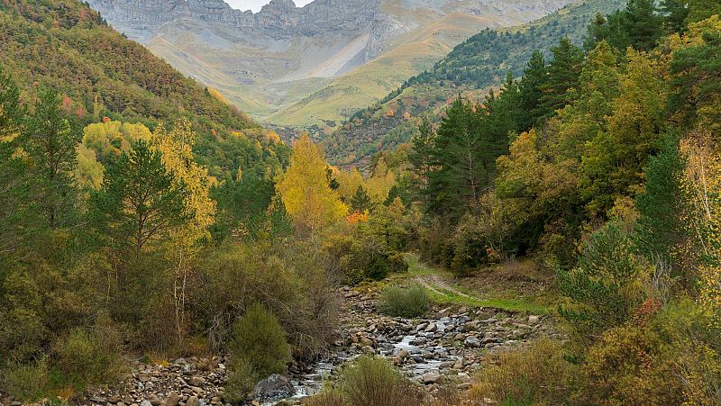 Mundo rural - Protestas de agricultores, consumo de legumbres y vino en barrica - 14/02/24 - Escuchar ahora