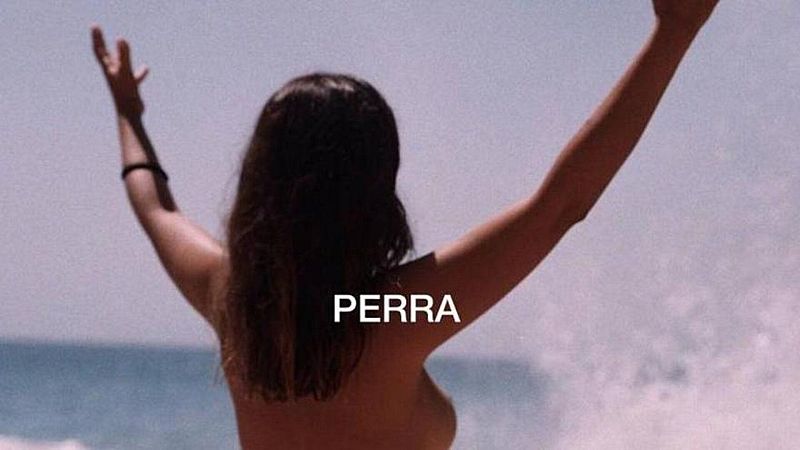 El gallo que no cesa - Lenguaraces: La reasignación y reapropiación de los términos - Escuchar ahora