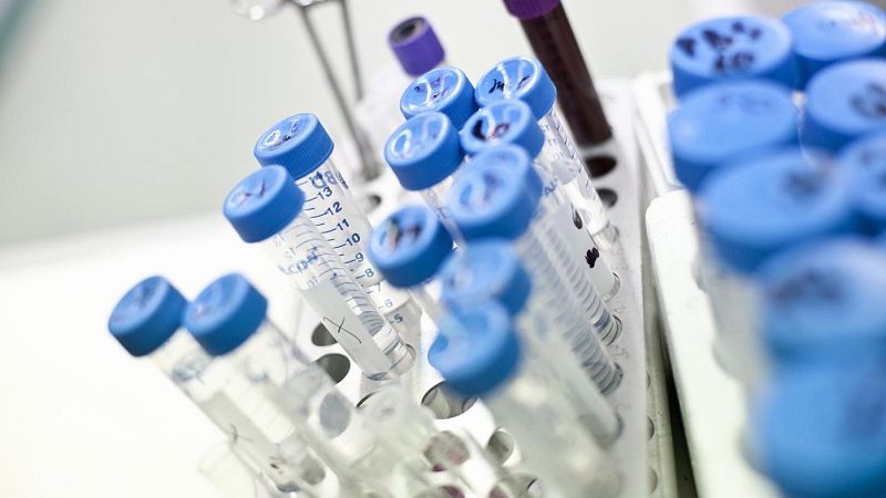 Detecten perquè un tipus de tumor esquiva el sistema immunitari i una mutació que serviria per a una vacuna