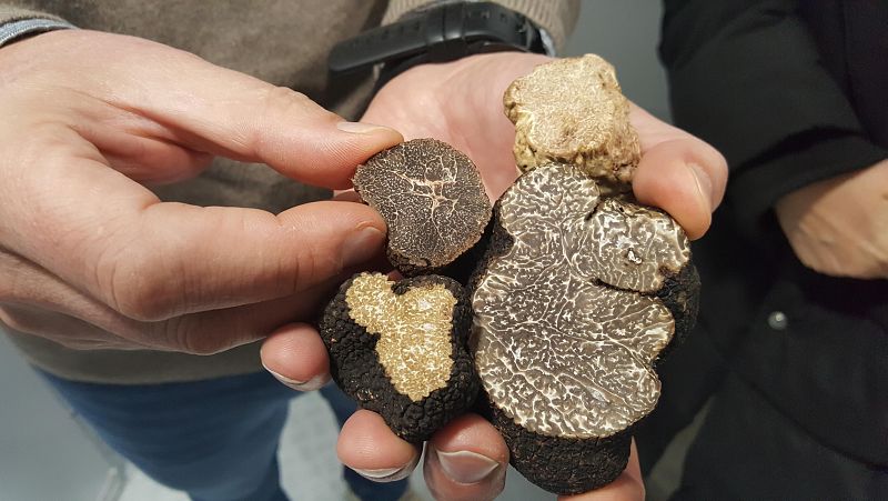 Global 5 - Trufa de Soria (II): diferentes tipos de fruta - 28/02/24 - Escuchar ahora