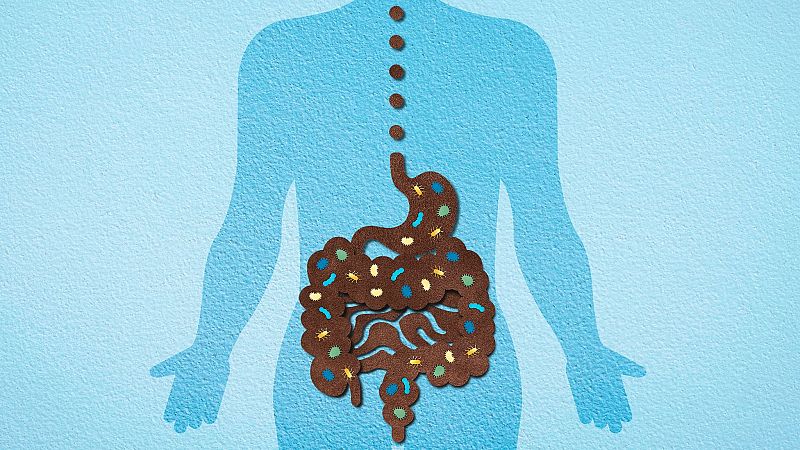 InquietaMENTE - Influjo de la microbiota en el neurodesarrollo - 29/02/24 - Escuchar ahora