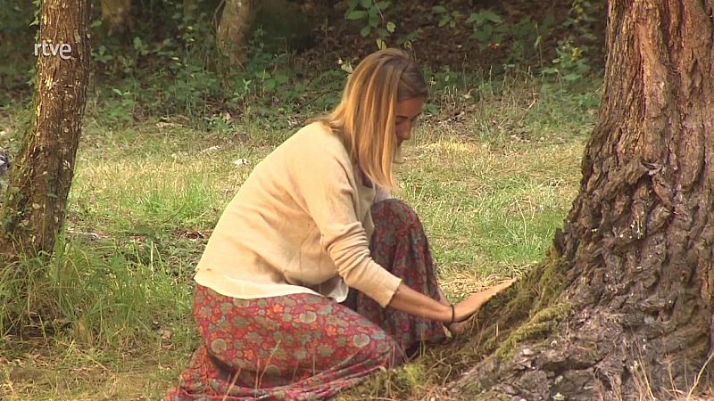 Educar para la paz - Baños de bosque con María Hidalgo Múgica - 13/03/24 - Escuchar ahora