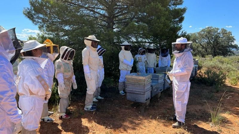 Global 5 - Bee Week 2024 (II): concienciación sobre las abejas - 13/02/24 - Escuchar ahora