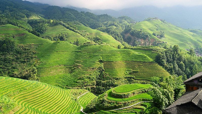 Espacio en blanco - Observar el arroz crecer - 31/03/24 - escuchar ahora