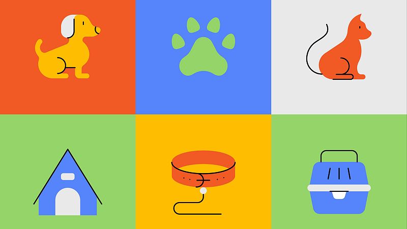 Contando cuentos en Radio 5 - Escuela de perritos - 05/04/24 - Escuchar ahora