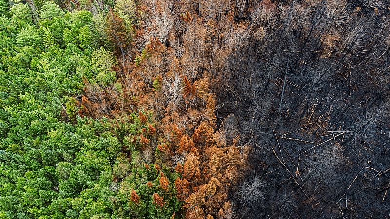 Las mañanas de RNE con Iñigo Alfonso - Las posibles consecuencias en los tribunales de la inacción climática