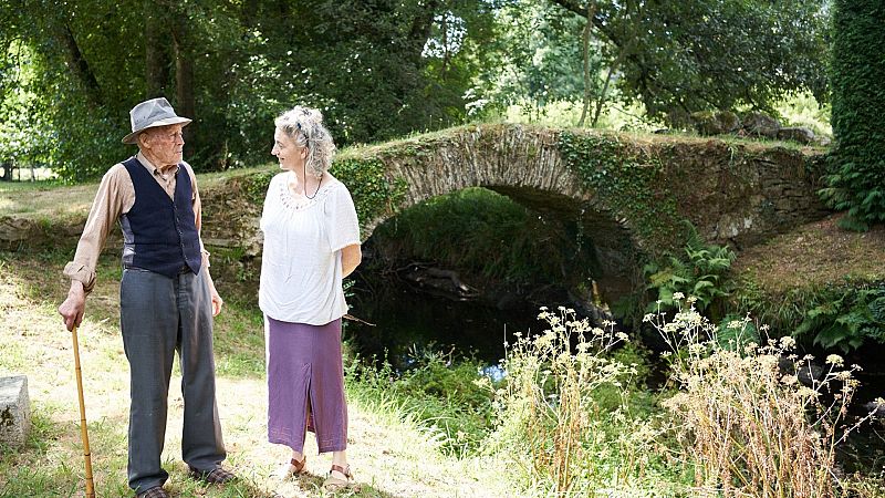El gallo que no cesa - Galicia y su modelo de vida sana que favorece la longevidad