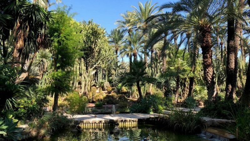 Escapadas - En el palmeral de Elche - 11/04/24 - Escuchar ahora