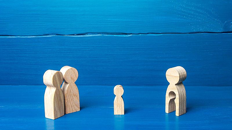 El gallo que no cesa - Reflexiones sobre Derecho partiendo del caso Ana Obregón - Escuchar ahora