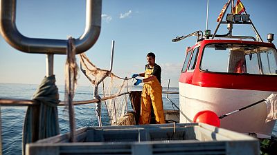 Un nuevo horizonte para reducir la pesca incidental