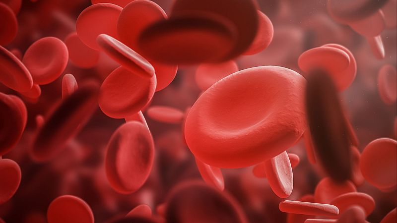 A su salud - Día Mundial de la Hemofilia - 17/04/24