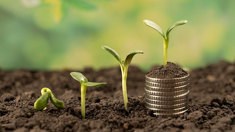 Mundo rural - PAC: Pagos de las ayudas extraordinarias - 22/04/24