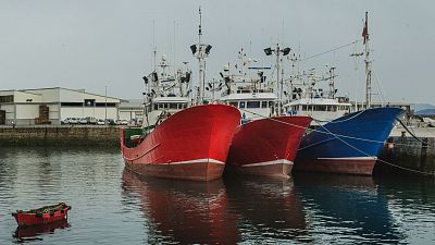 Pesca de arrastre en reas protegidas, un problema europeo