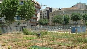 Els horts urbans tenen set, disruptors endocrins i casa sense t�xics