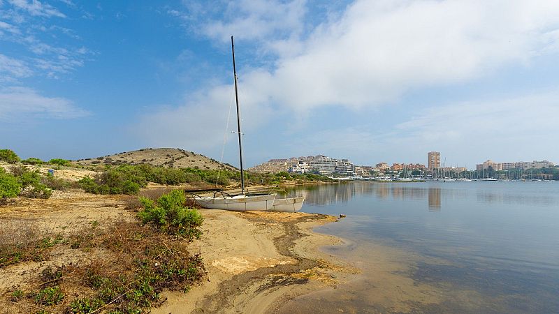 El gallo que no cesa - Pablo Martínez Ros y su visión sobre la salud del Mar Menor - Escuchar ahora