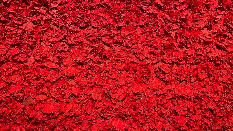 Reportajes 5 continentes - La Revolución de los claveles contada por sus protagonistas 50 años después