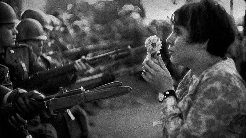 Memoria de delfín - Mara Peterssen, año 1967 - Escuchar ahora