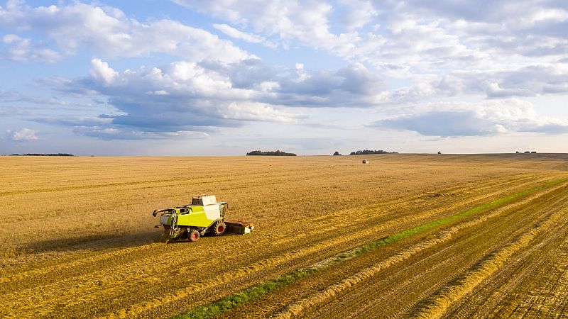 Mundo rural - PAC: Modificación del real decreto relativo a las normas de condicionalidad - 29/04/24