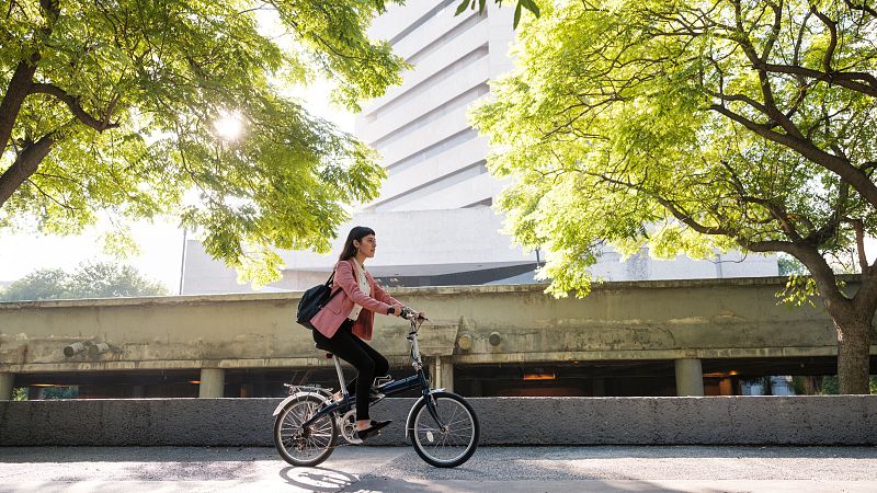 Sostenible y renovable en Radio 5 - Contaminación atmosférica y vegetación - 11/05/24