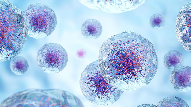 Por tres razones - Ana Mª Cuervo: "La limpieza celular es la clave de la longevidad"