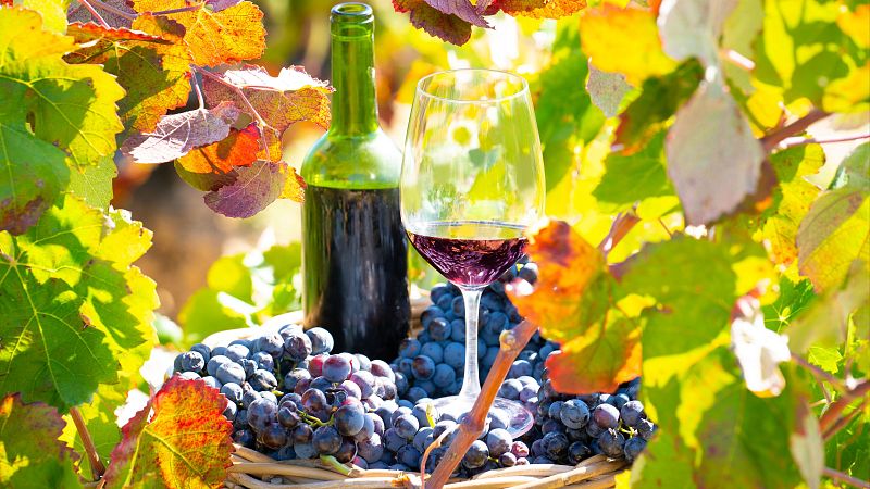 13ª Feria Insular del Vino de La Palma (Los Llanos de Aridane)