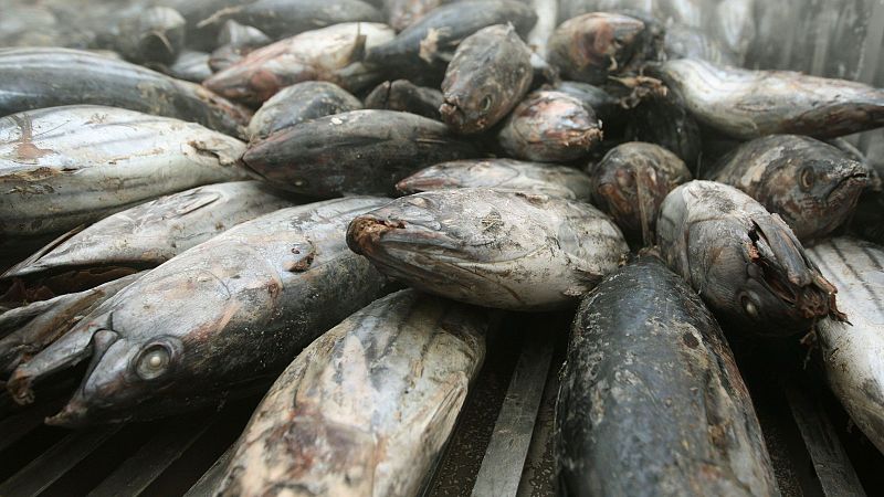 Españoles en la mar - El acuerdo de libre comercio con Tailandia - 17/05/24 - escuchar ahora