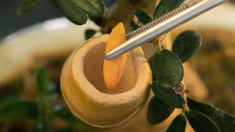 La buena vida en Radio 5 - Destapa - T - 20/05/24 - Escuchar ahora