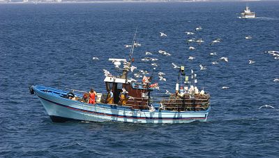 La pesca intensiva no se reduce en el Mediterrneo