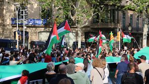 El reconeixement de l'Estat de Palestina marca el quart dia de campanya del 9J