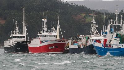 La importancia de las elecciones europeas para la pesca