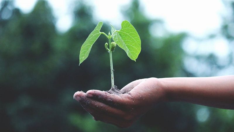 Protegemos tu privacidad - Plan de Responsabilidad Social - 31/05/24 - Escuchar ahora