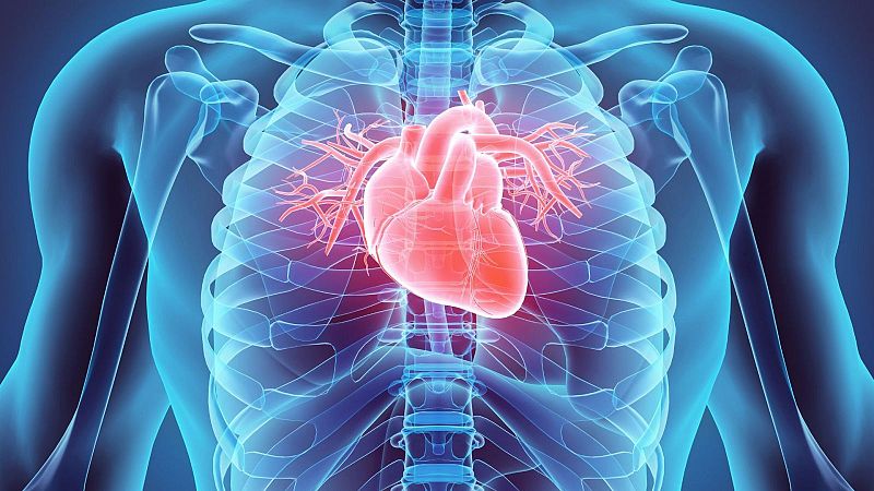 Riesgo cardiovascular de mujeres en menopausia
