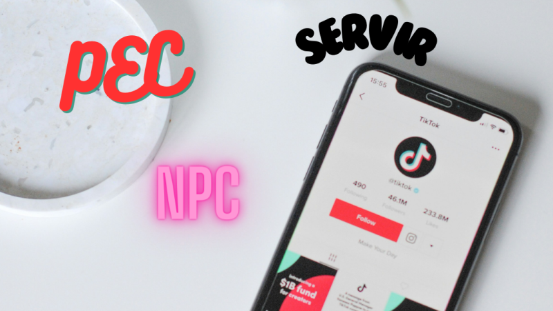 En plan jóvenes en Radio 5 - Diccionario Z: ¿PEC? ¿Stalkear? - 11/06/24 - Escuchar ahora