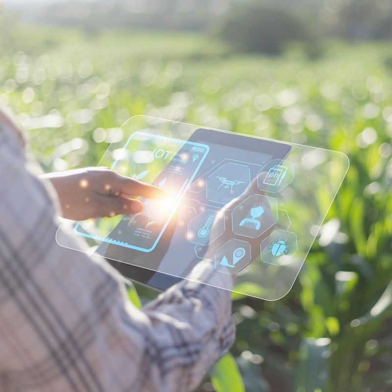 Cinco Continentes - Sector agroalimentario: entre el pacto verde y la rentabilidad económica - Escuchar Ahora