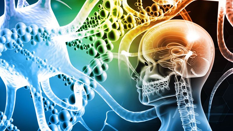 A su salud -  El Dr. Josep Dalmau y las encefalitis autoinmunes - 14/06/24 - Escuchar ahora