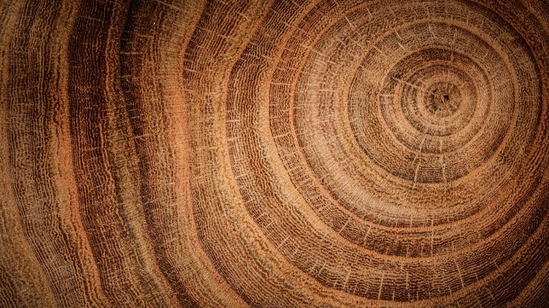 Cuaderno mayor -  Cómo activar las hormonas de la felicidad - 20/06/24 - Escuchar ahora