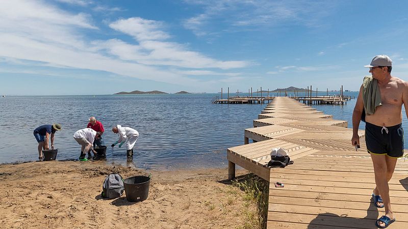 Vida verde - Banderas Negras, suspendemos en playas - 29/06/24 - escuchar ahora