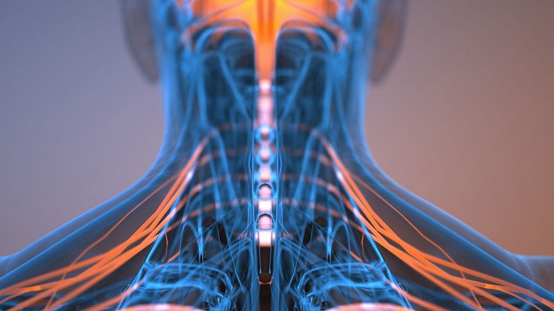 El gallo que no cesa - Médico de guardia: Los nervios periféricos y sus dolencias - Escuchar ahora