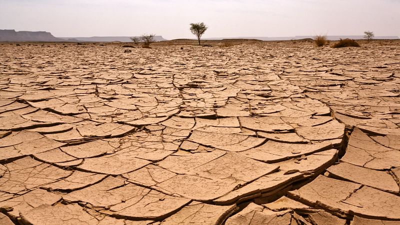 Para que veas - El cambio climático afecta más a las personas con discapacidad - 01/07/24