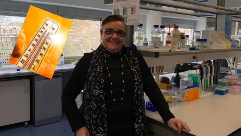 Más cerca - El calor incrementa la agresividad - 10/07/24