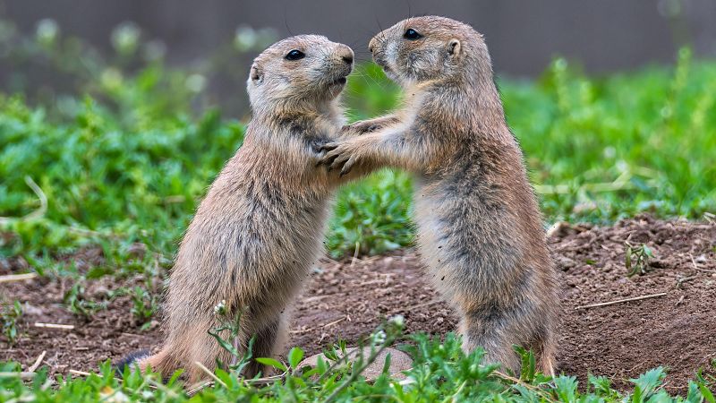 Con copia en Radio 5 - Un, dos, tres - 19/07/24 - Escuchar ahora