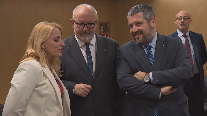 Natàlia Mas explica al Consell de Política Fiscal i Financera la proposta de finançament singular