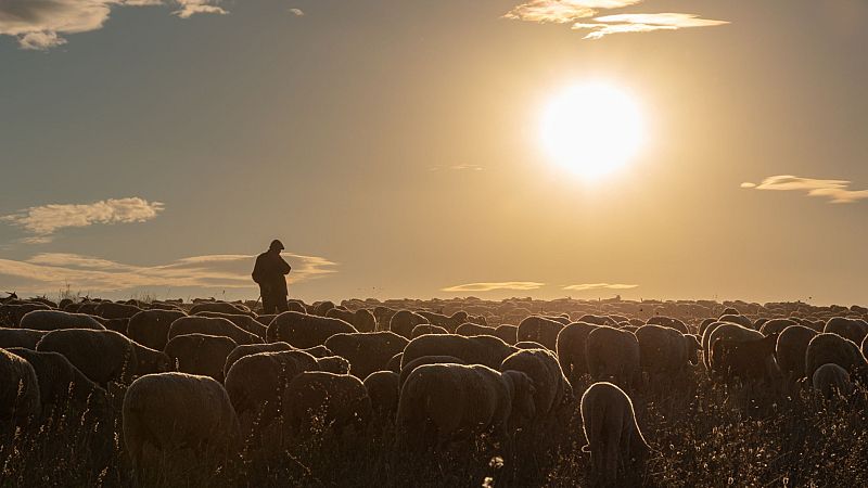 Diez minutos bien empleados - El futuro de la trashumancia - 22/07/24 - Escuchar ahora