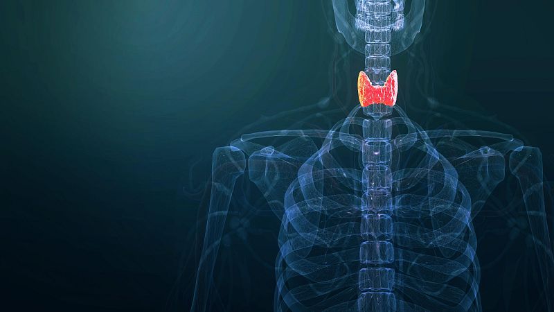 A su salud - Día Mundial Contra el Cáncer de Cabeza y Cuello - 26/07/24 - escuchar ahora