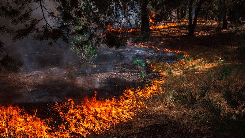 A golpe de bit en Radio 5 - Incendios: la constante del verano - 31/07/24