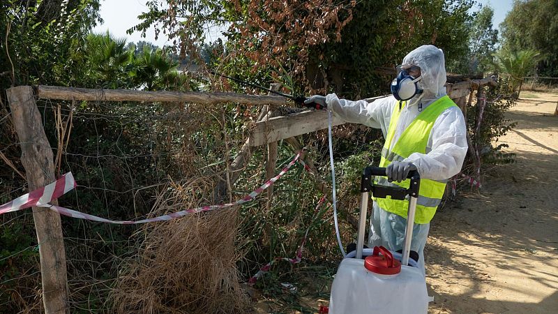 24 horas - Jordi Figuerola (CSIC) sobre el virus del Nilo: "Lo único que se puede hacer es prevenir"