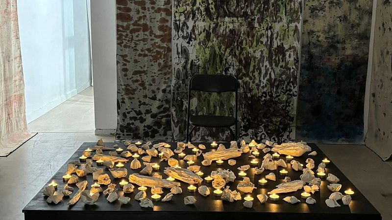 El gallo que no cesa - El arte ecologista y feminista de Soledad Urzúa