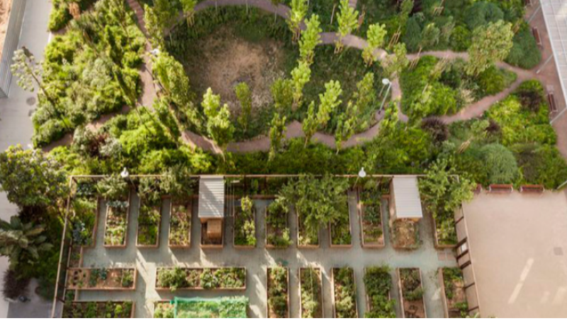 Sònia Hernández-Montaño: "Tota la ciutat ha de ser resilient, no només un refugi"