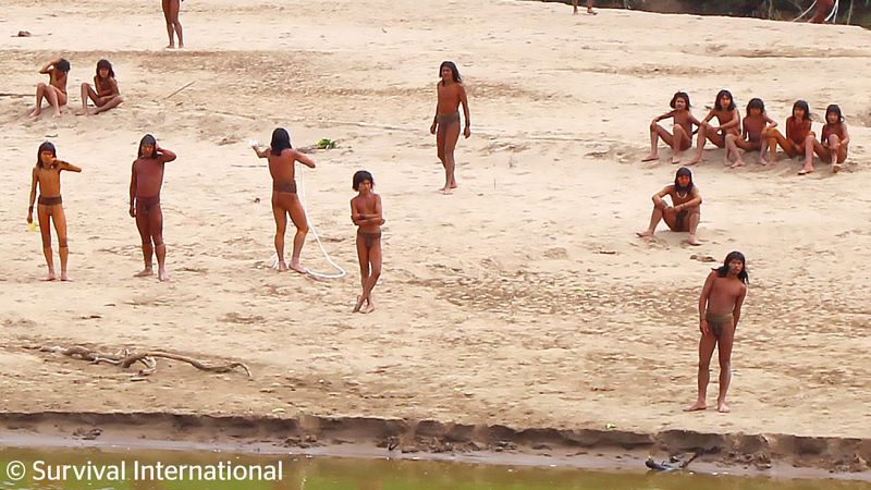 Reportajes 5 Continentes - Las tribus no contactadas de Perú frente a las madereras - Escuchar ahora